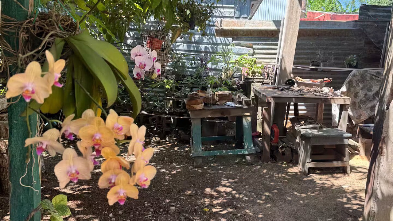 Photo of Outdoor in Chetumal