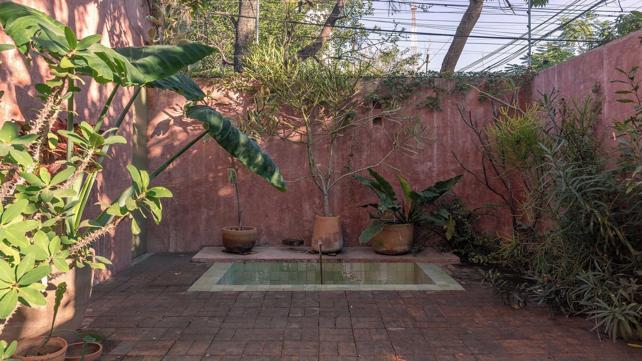 Photo of Outdoor in Zona Minerva