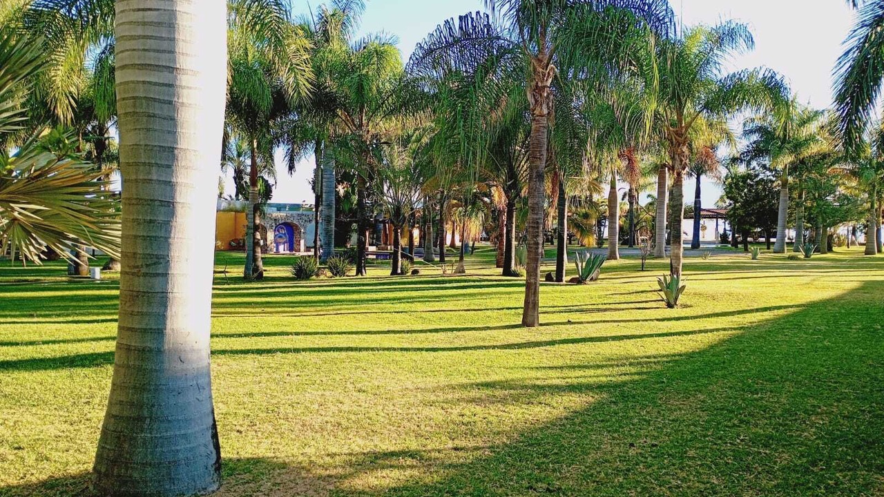 Photo of Outdoor in Riberas del Pilar