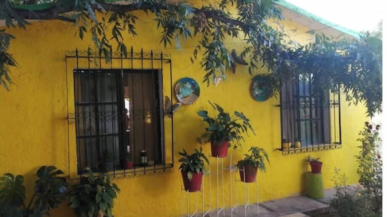 Photo of Patio Balcony in Saltillo