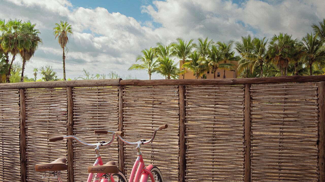 Photo of Outdoor in Todos Santos