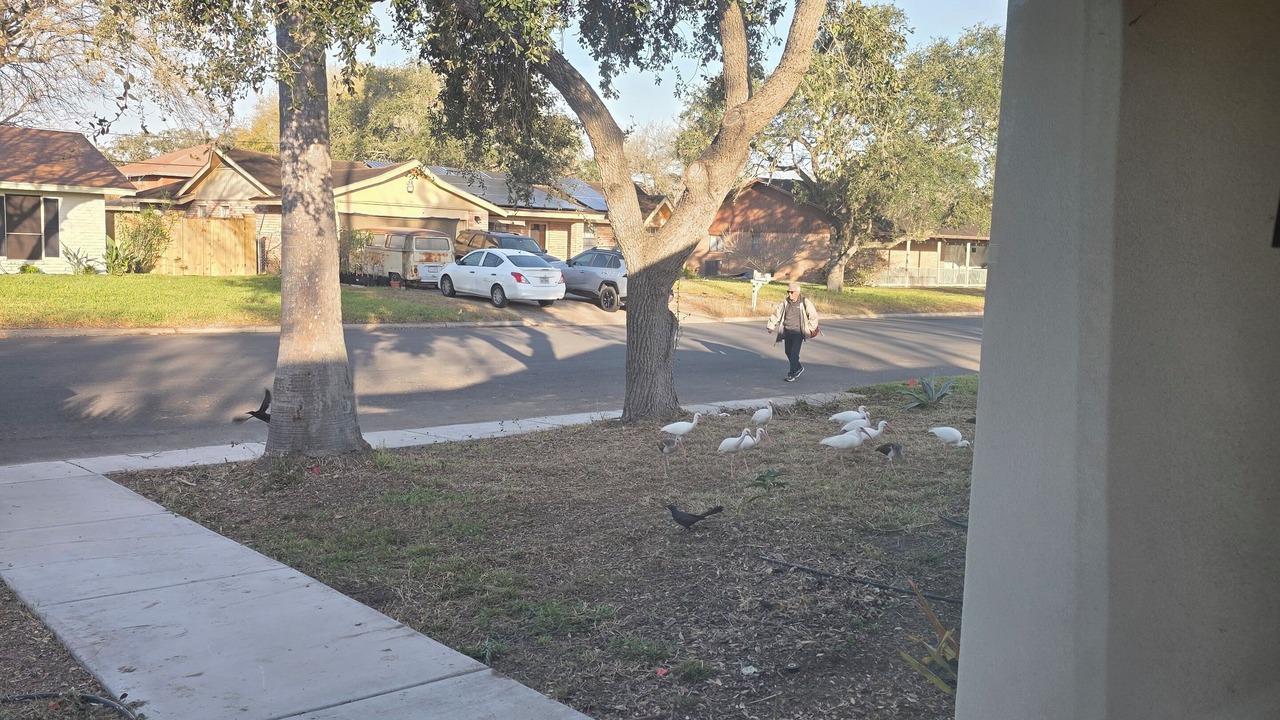Photo of Outdoor in Weslaco