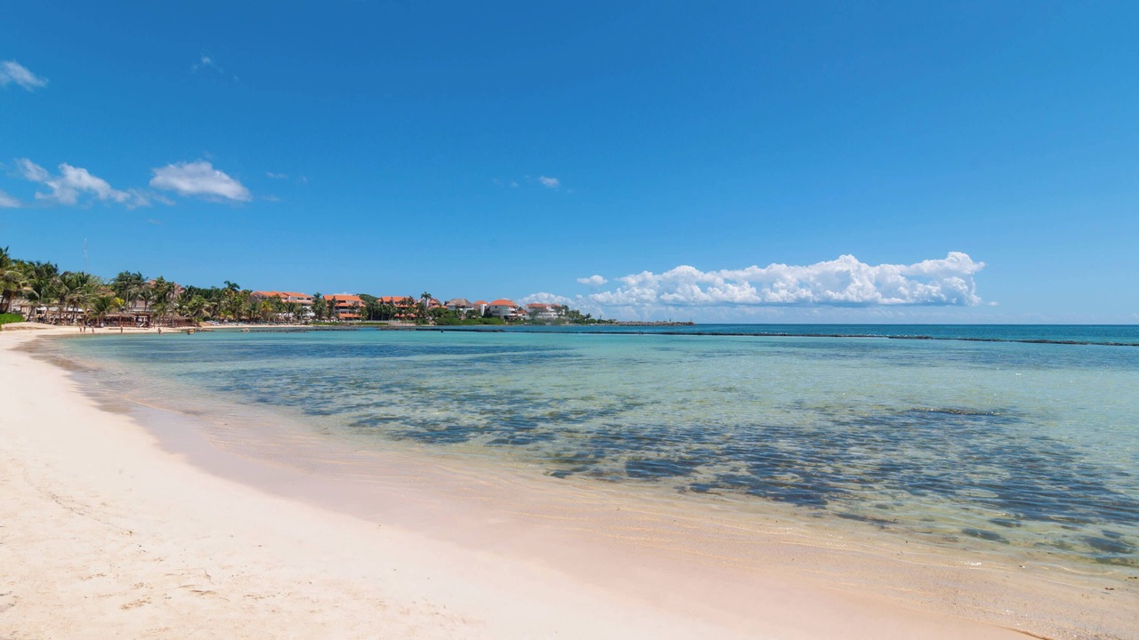 Photo of Others in Puerto Aventuras
