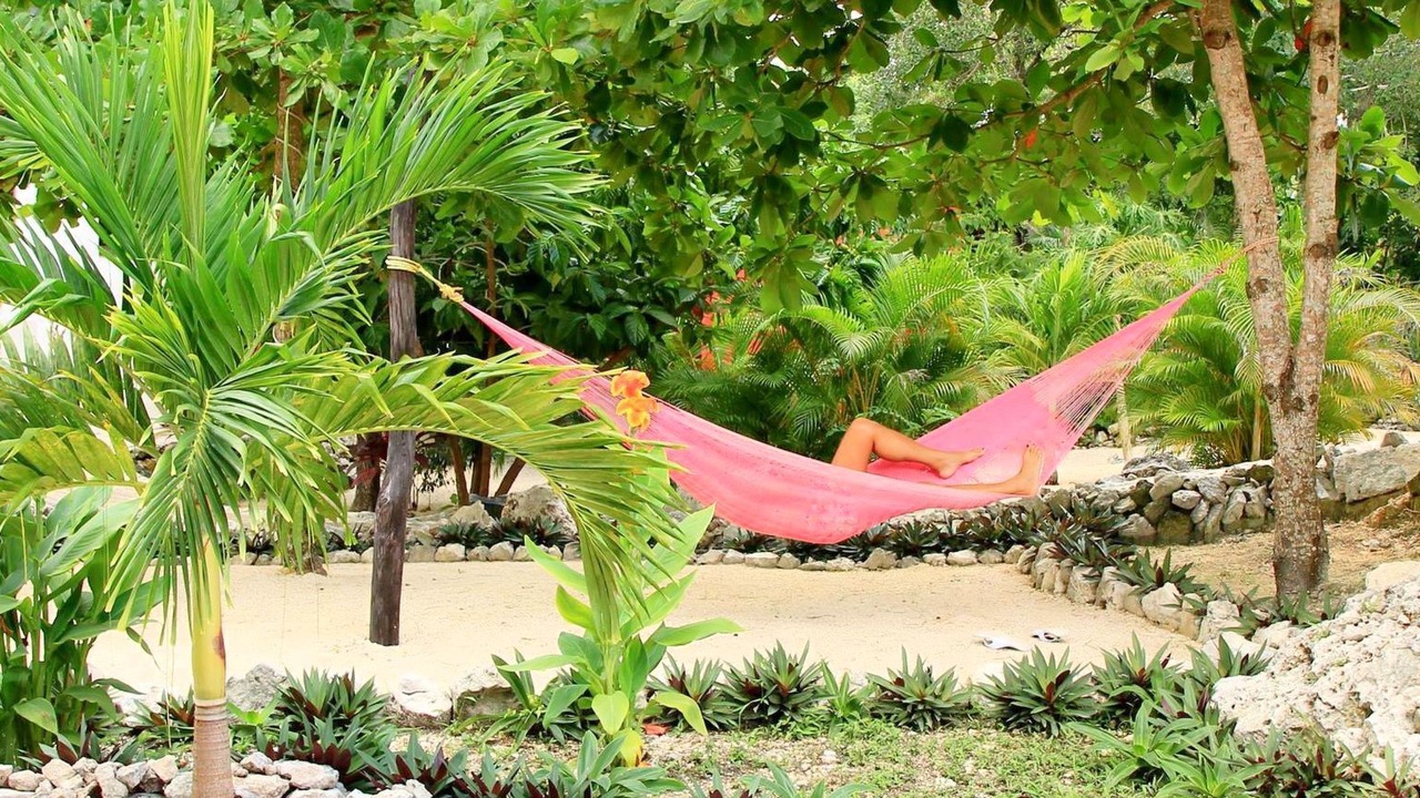 Photo of Others in Akumal