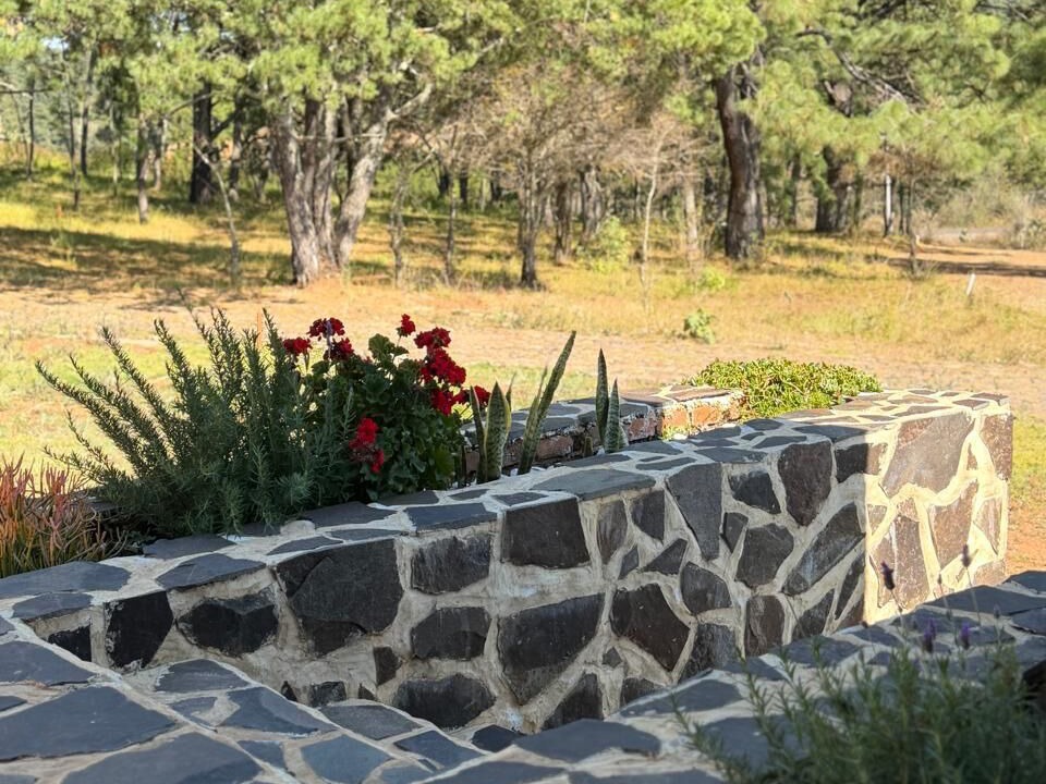 Photo of Outdoor in Atemajac de Brizuela