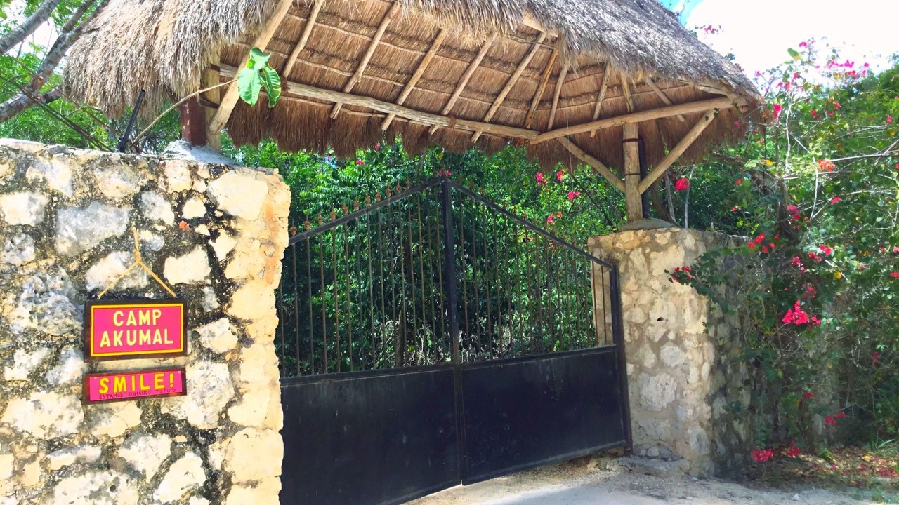 Photo of Others in Akumal