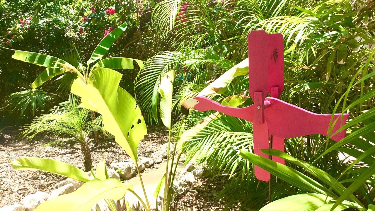 Photo of Others in Akumal