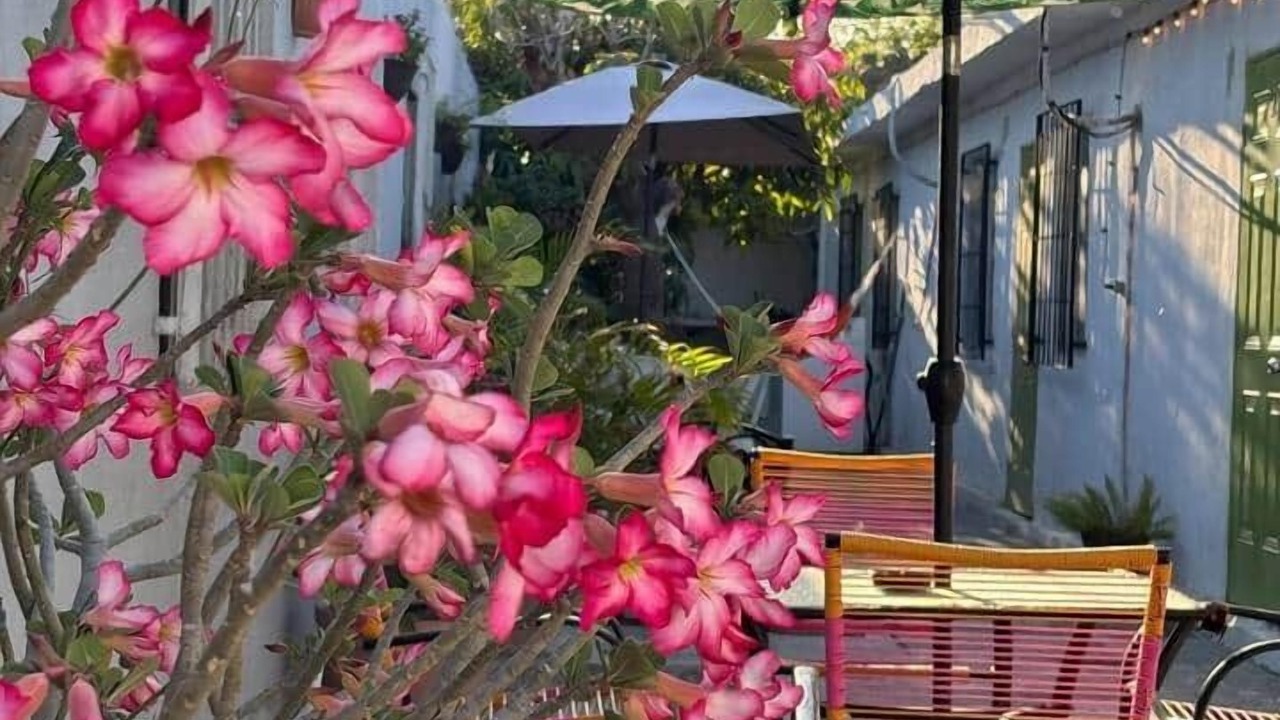 Photo of Outdoor in Matamoros