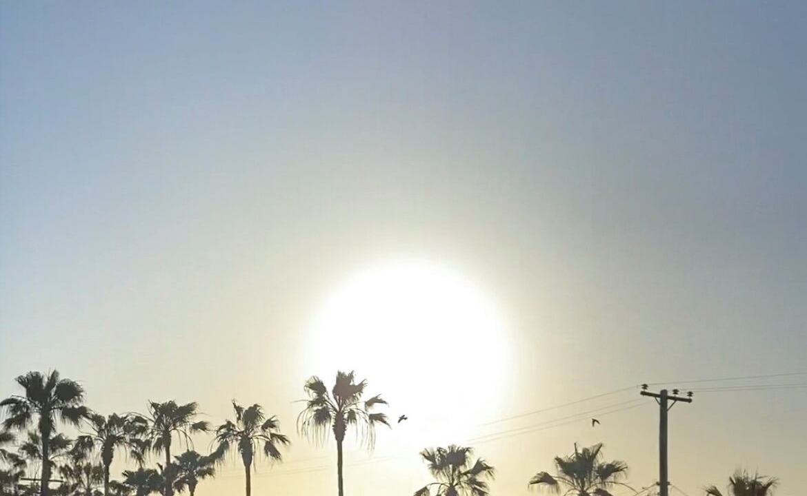 Photo of Others in Playas de Rosarito