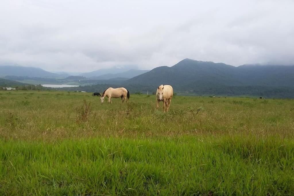 Photo of Others in Mascota