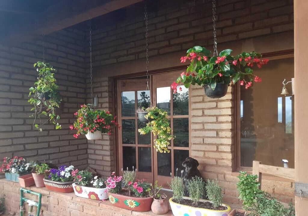 Photo of Outdoor in Mascota