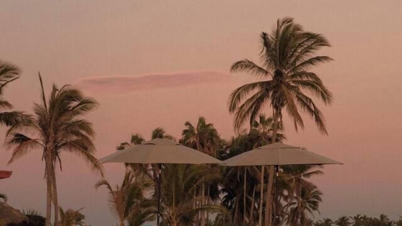 Photo of Others in Mazatlan