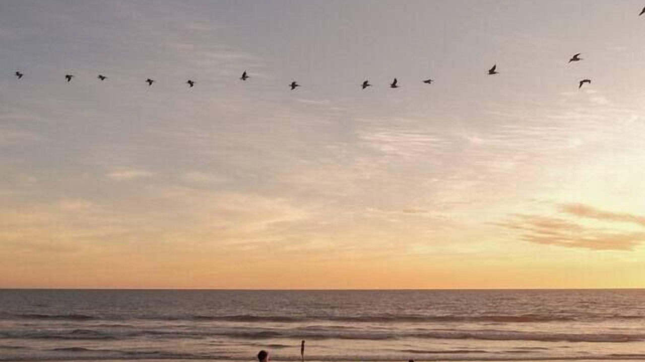 Photo of Others in Mazatlan
