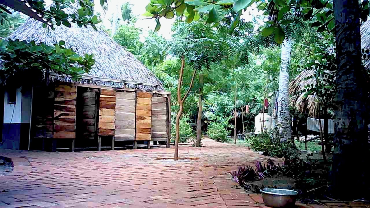 Photo of Outdoor in Tonala