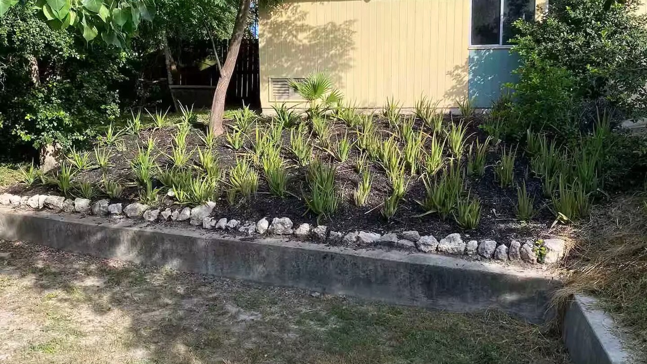 Photo of Outdoor in Harlingen