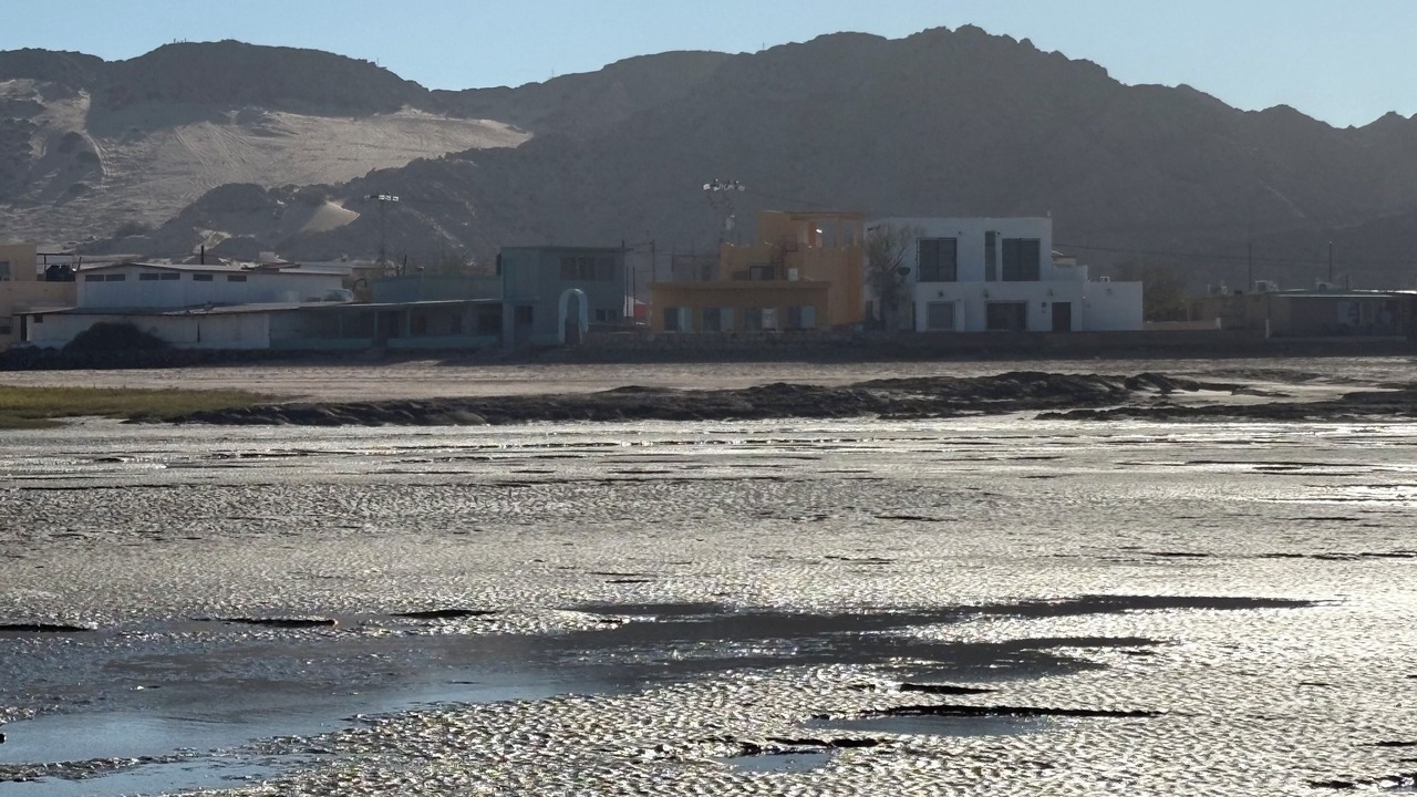 Photo of Outdoor in Cholla Bay
