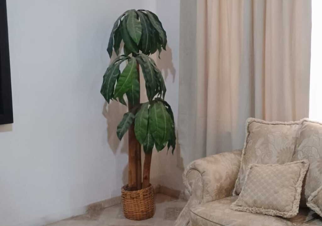 Photo of Livingroom in Torreon