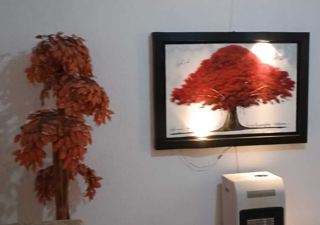 Photo of Livingroom in Torreon