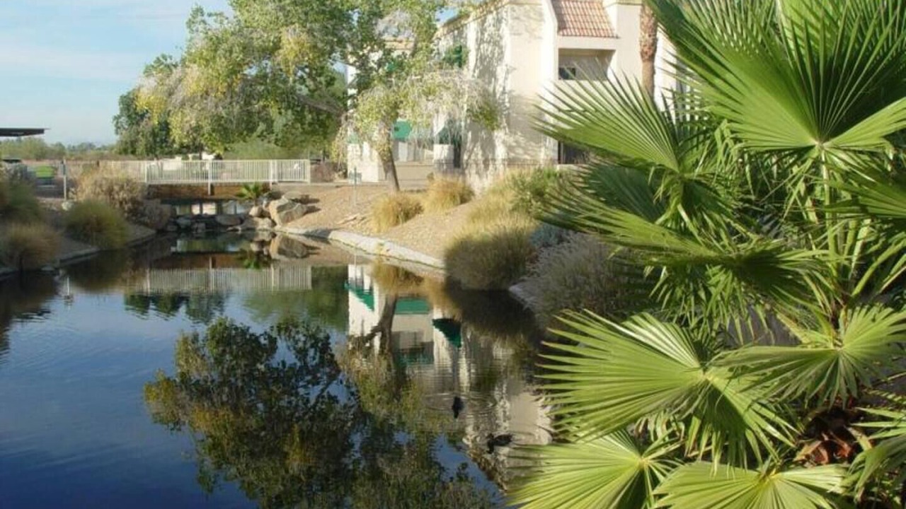 Photo of Outdoor in Surprise