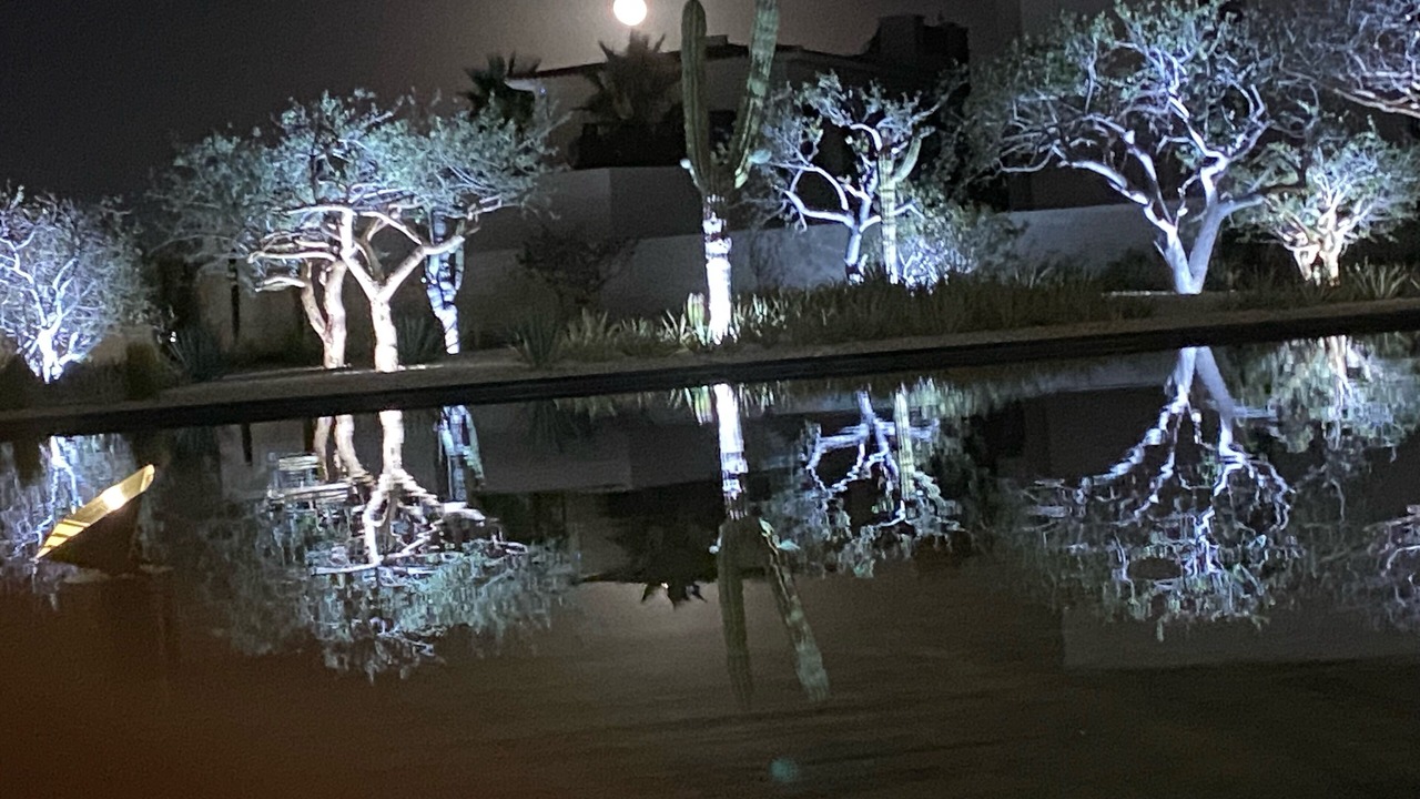 Photo of Outdoor in Los Cabos