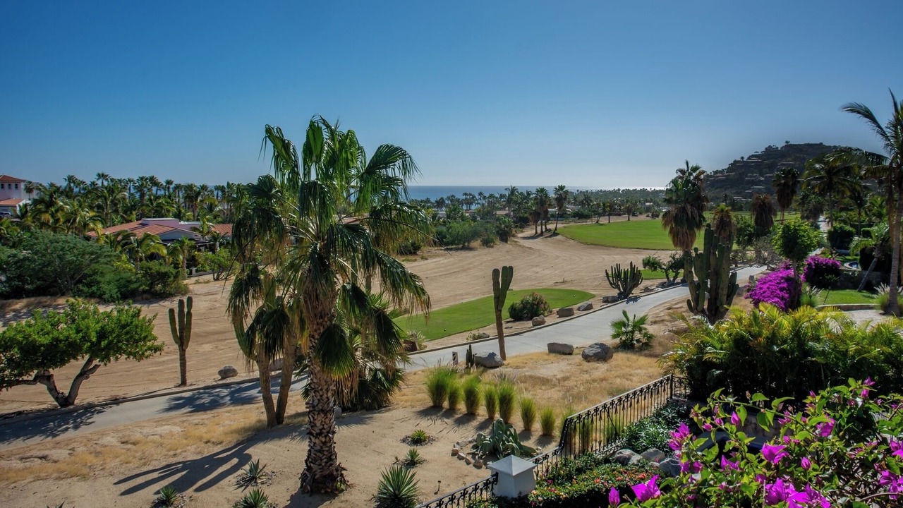 Photo of Others in Palmilla