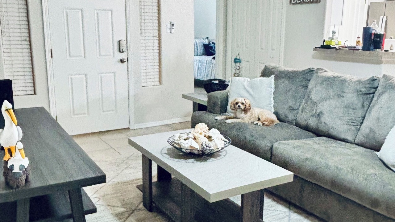 Photo of Livingroom in Laguna Vista