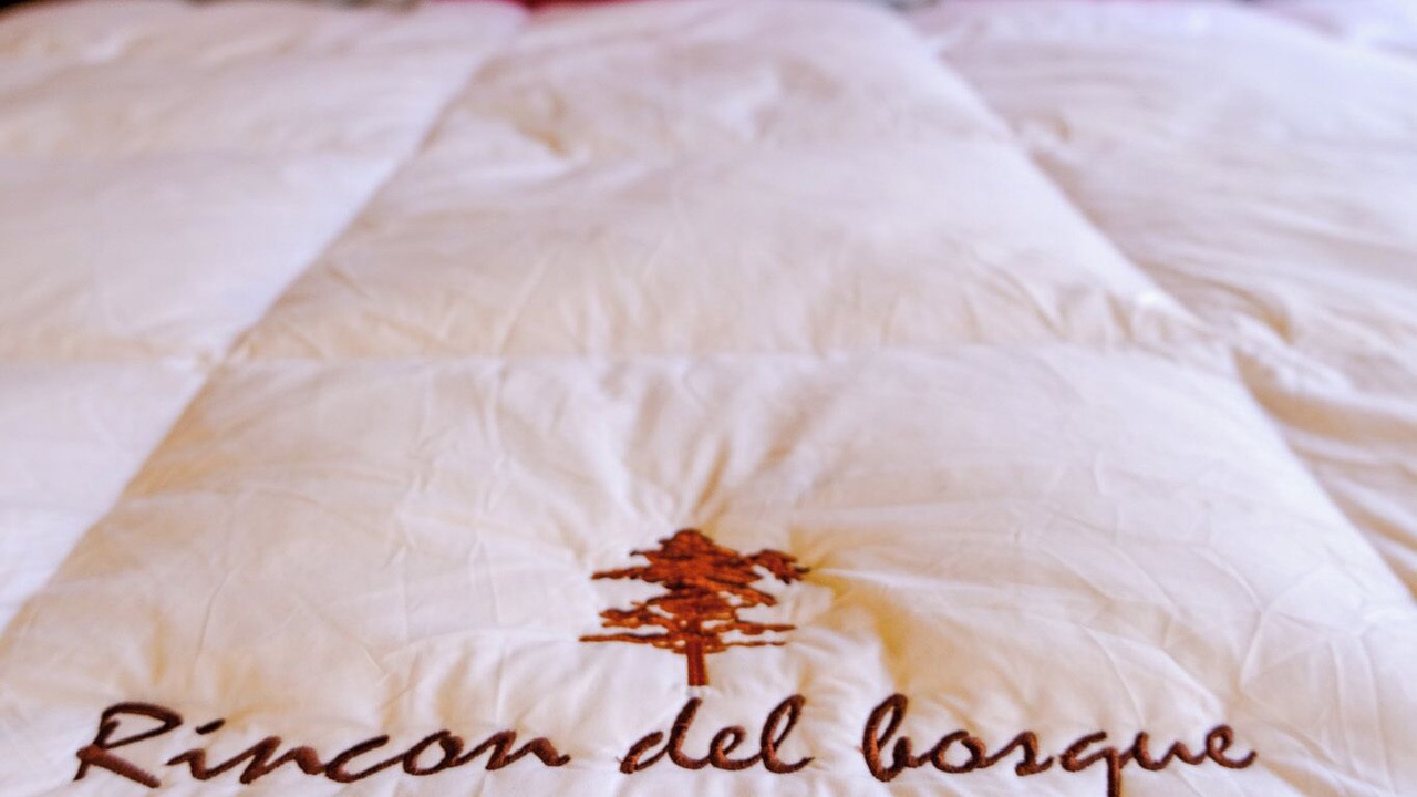 Photo of Bedroom in Mazamitla
