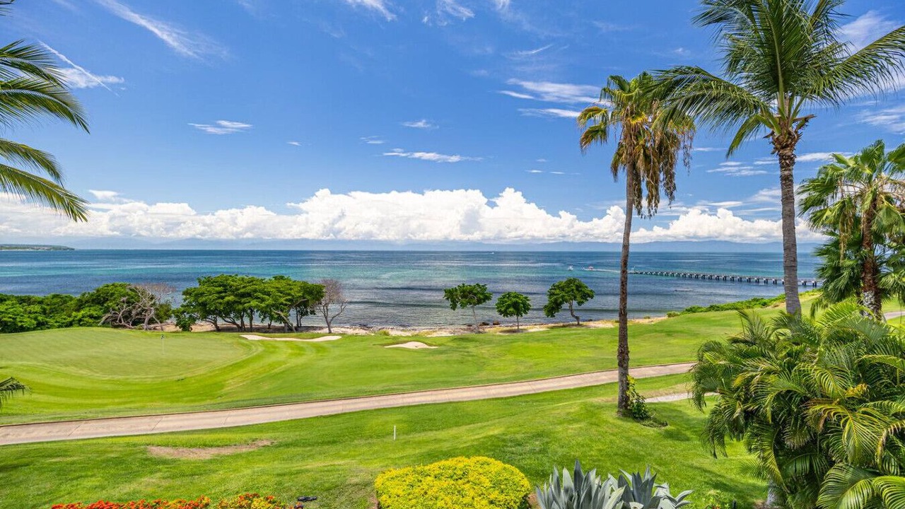 Photo of Others in Punta de Mita