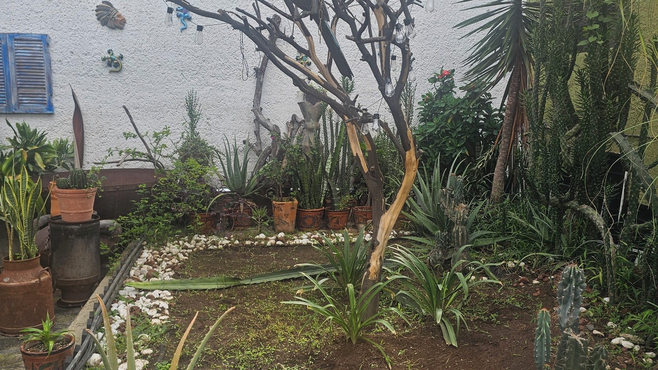 Photo of Outdoor in Guadalajara