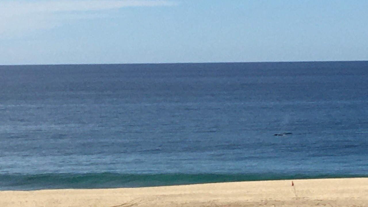 Photo of Others in Los Cangrejos II y III
