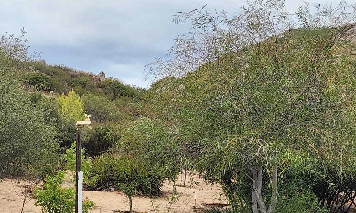 Photo of Others in Tecate Municipality