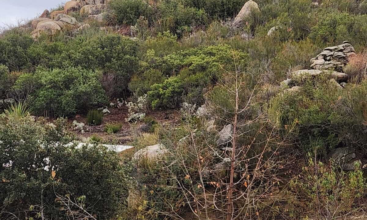 Photo of Others in Tecate Municipality