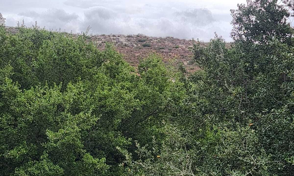 Photo of Others in Tecate Municipality