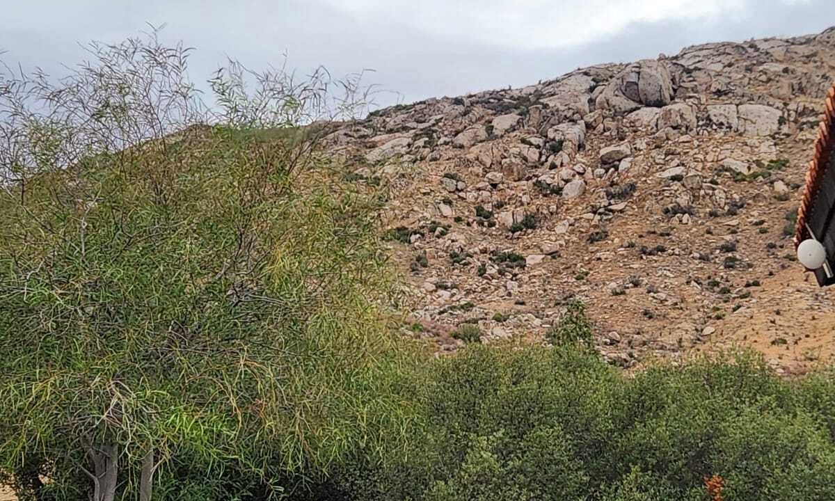 Photo of Outdoor in Tecate Municipality