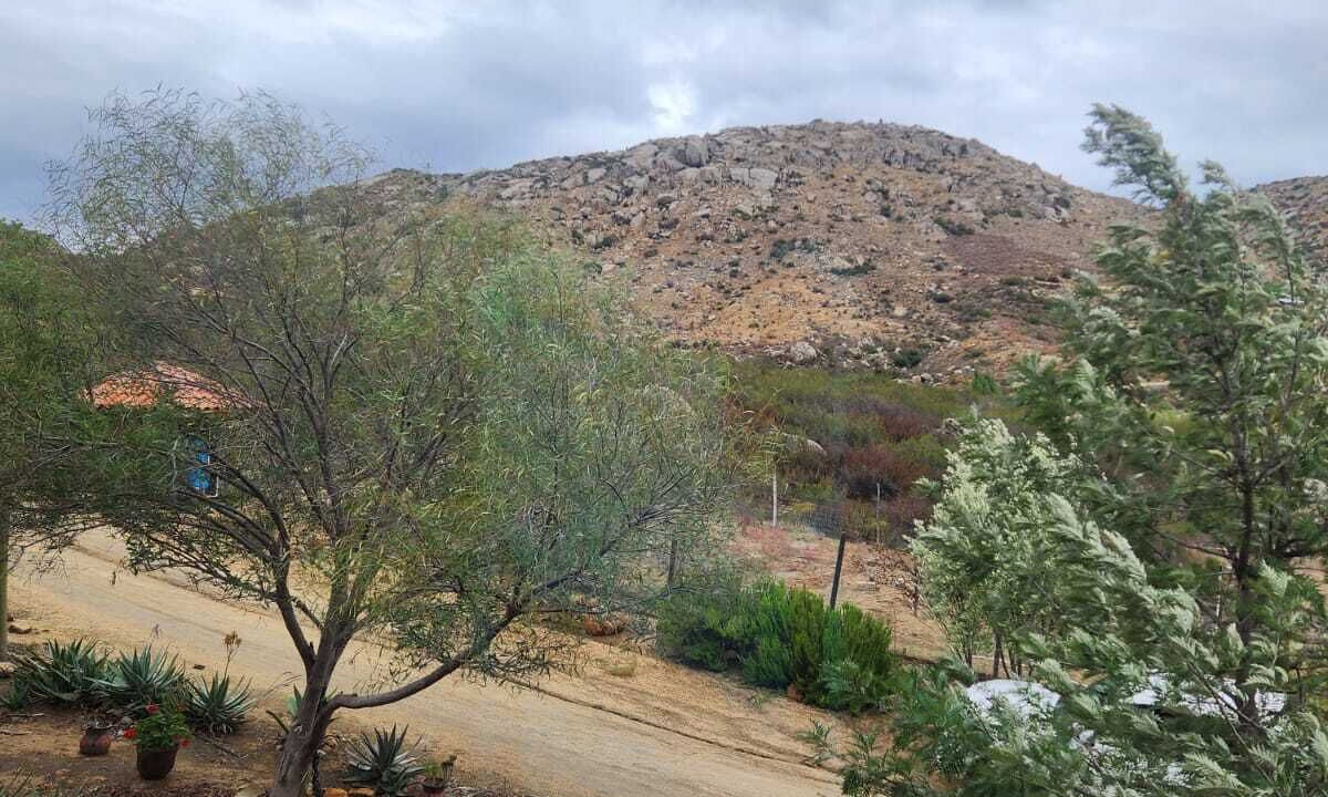 Photo of Outdoor in Tecate Municipality