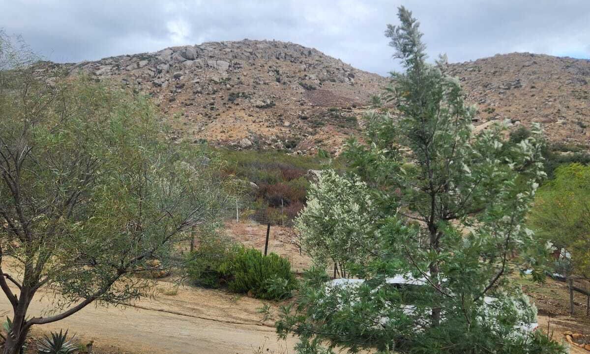 Photo of Outdoor in Tecate Municipality