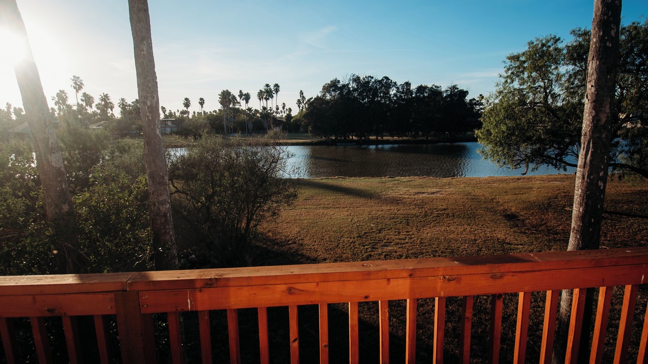 Photo of Outdoor in Brownsville