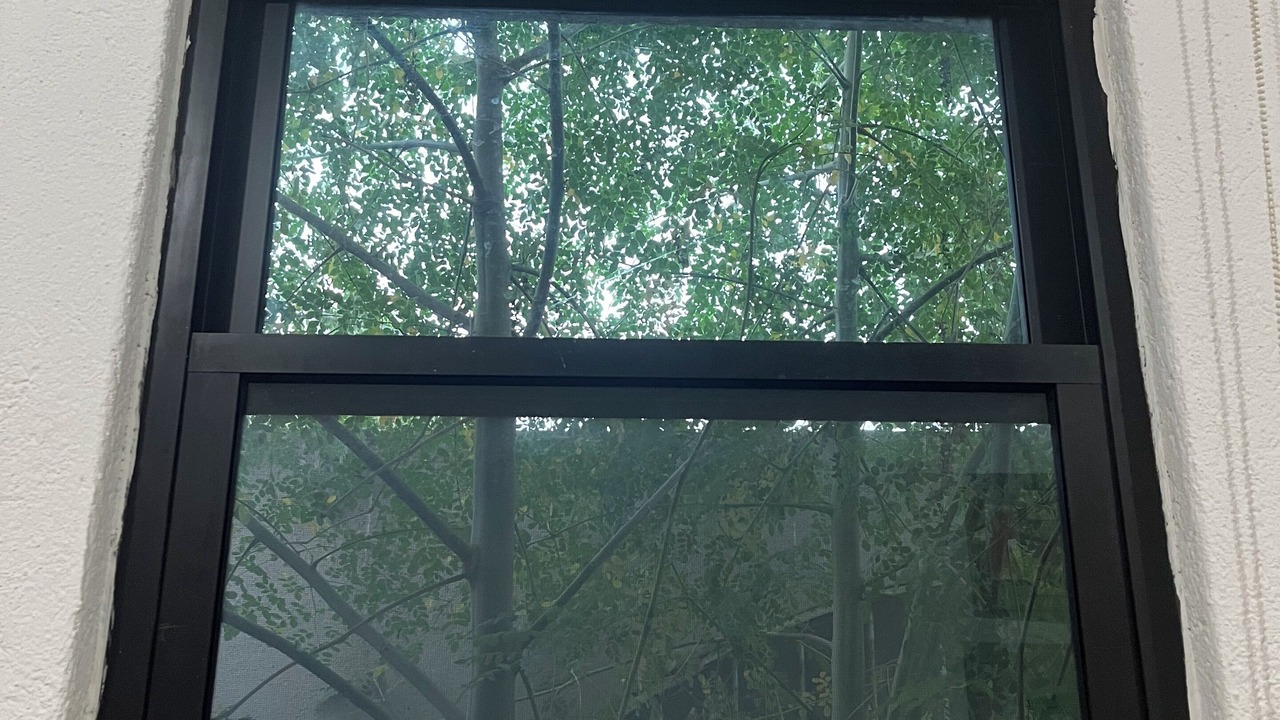 Photo of Outdoor in El Zacatal
