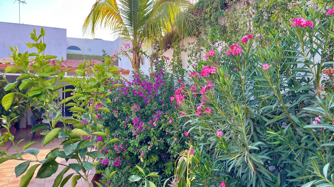 Photo of Outdoor in La Paz