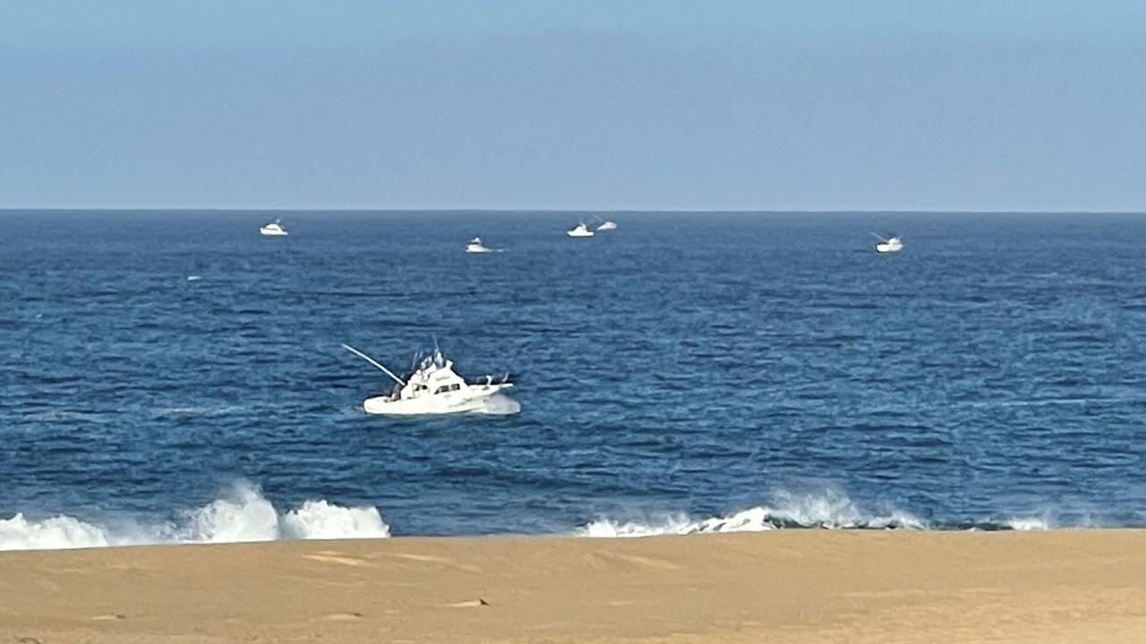 Photo of Others in Los Cangrejos II y III