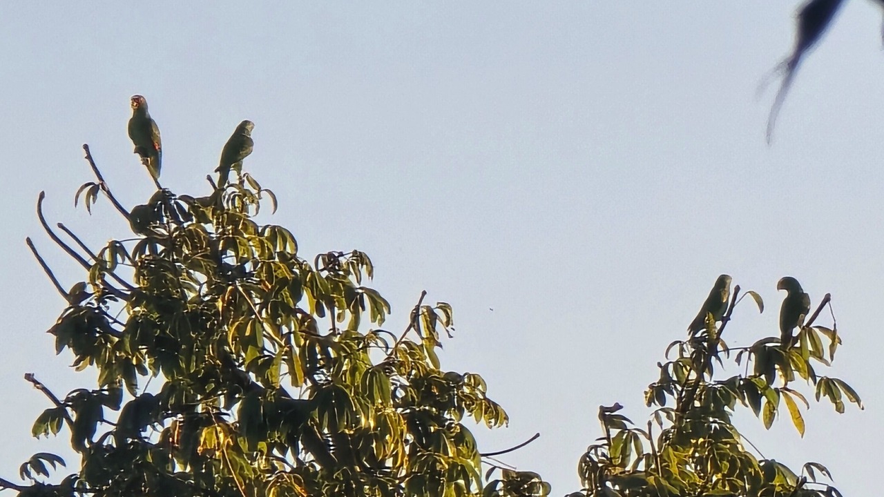 Photo of Others in Bacalar