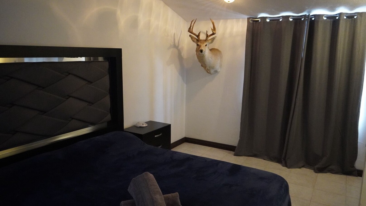 Photo of Bedroom in San Nicolas de los Garza