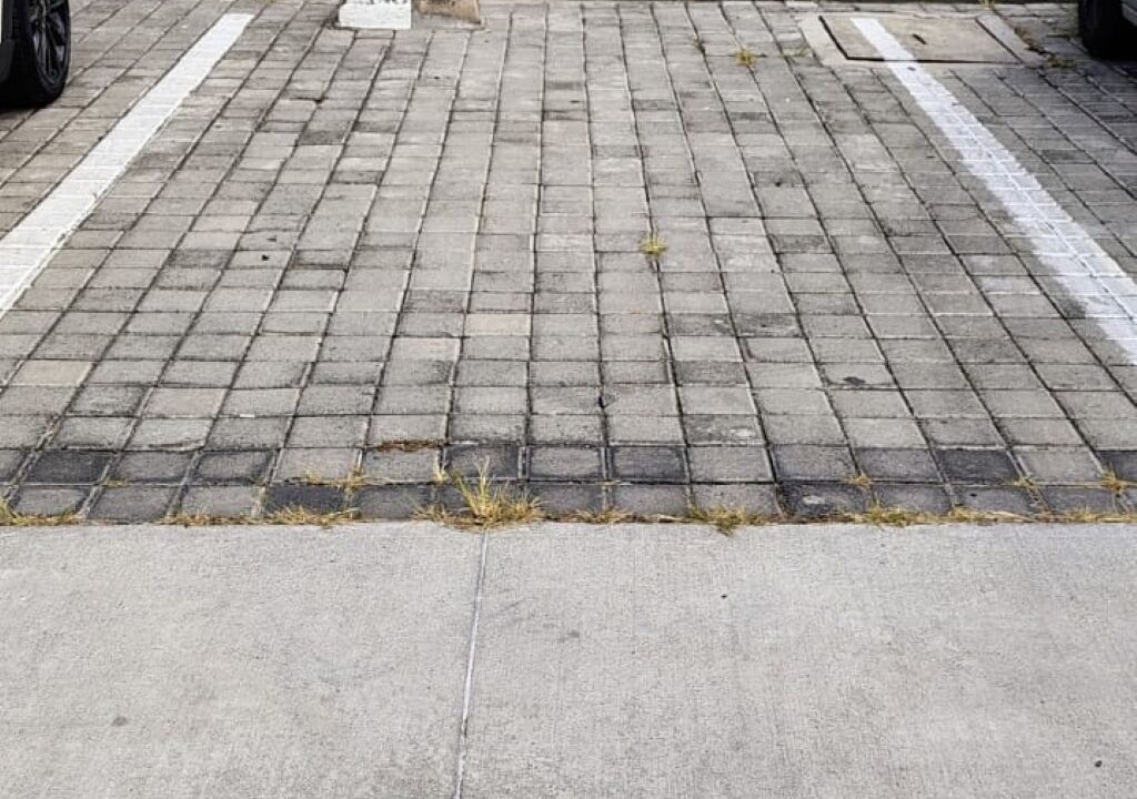 Photo of Outdoor in Tlaquepaque