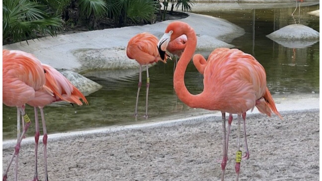 Photo of Others in Villa Juarez
