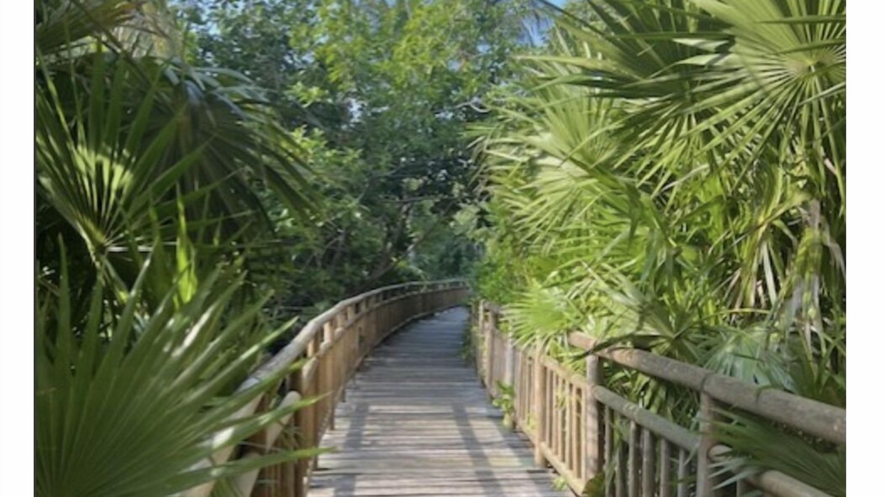 Photo of Outdoor in Villa Juarez