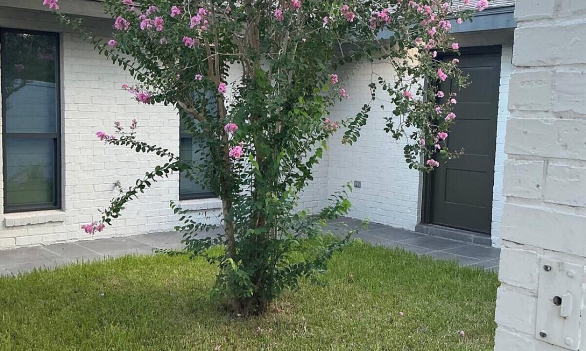 Photo of Outdoor in Weslaco