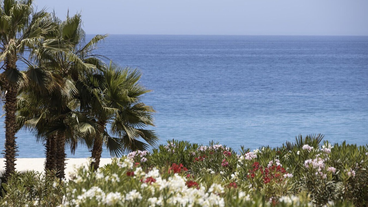 Photo of Others in San Jose del Cabo