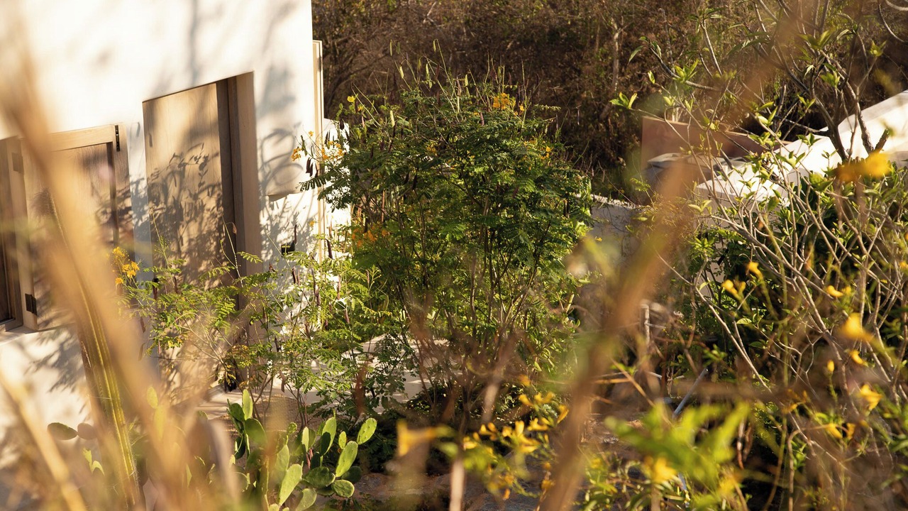Photo of Outdoor in Troncones