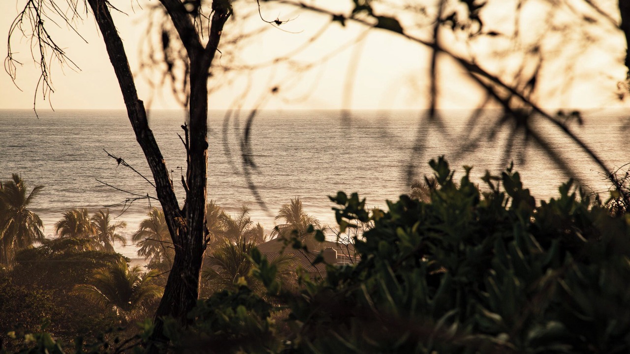 Photo of Others in Troncones