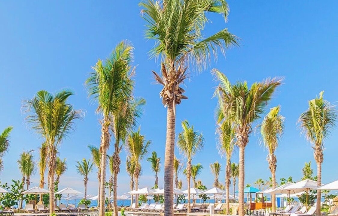 Photo of Outdoor in San Jose del Cabo